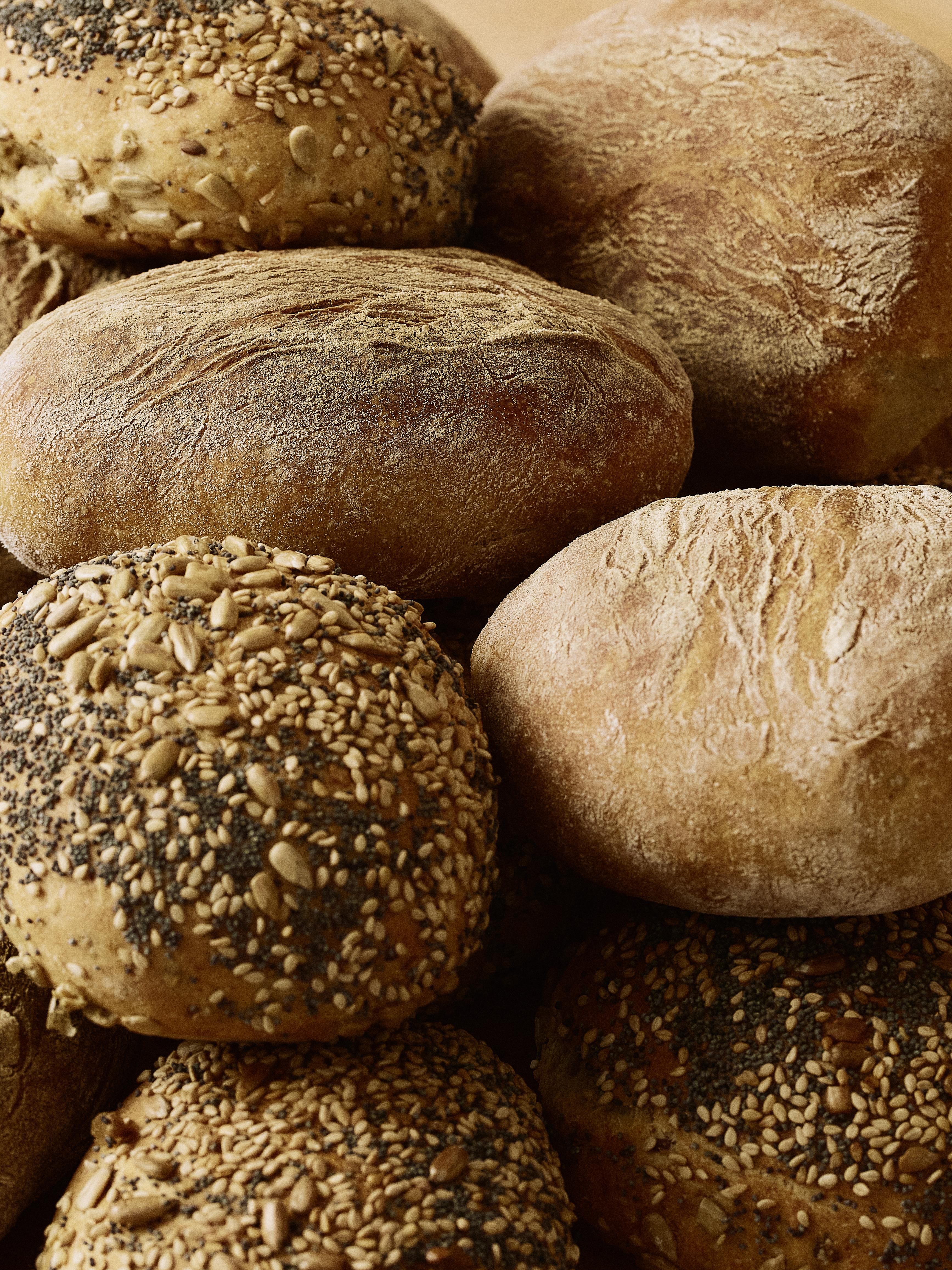 Frisch gebackenes Brot mit goldbrauner Kruste